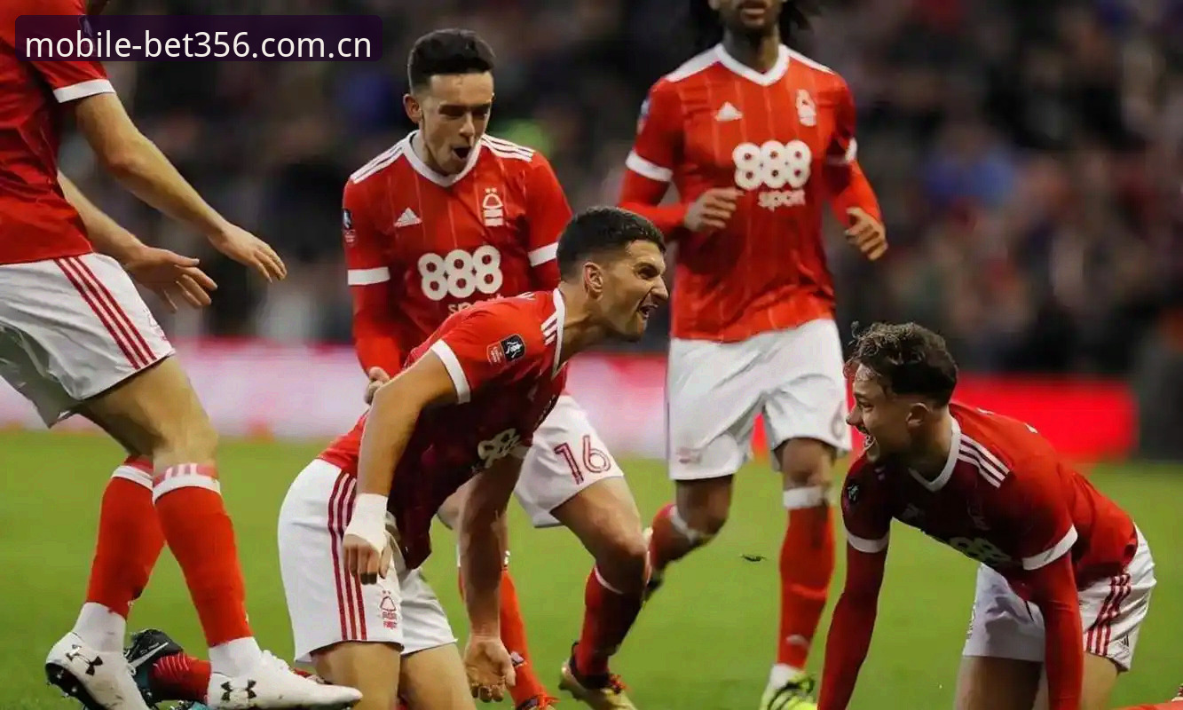 bet356怎么样教程 欧联杯决赛深度解析:埃梅里率维拉3-0夺冠,bet356体育平台见证历史时刻